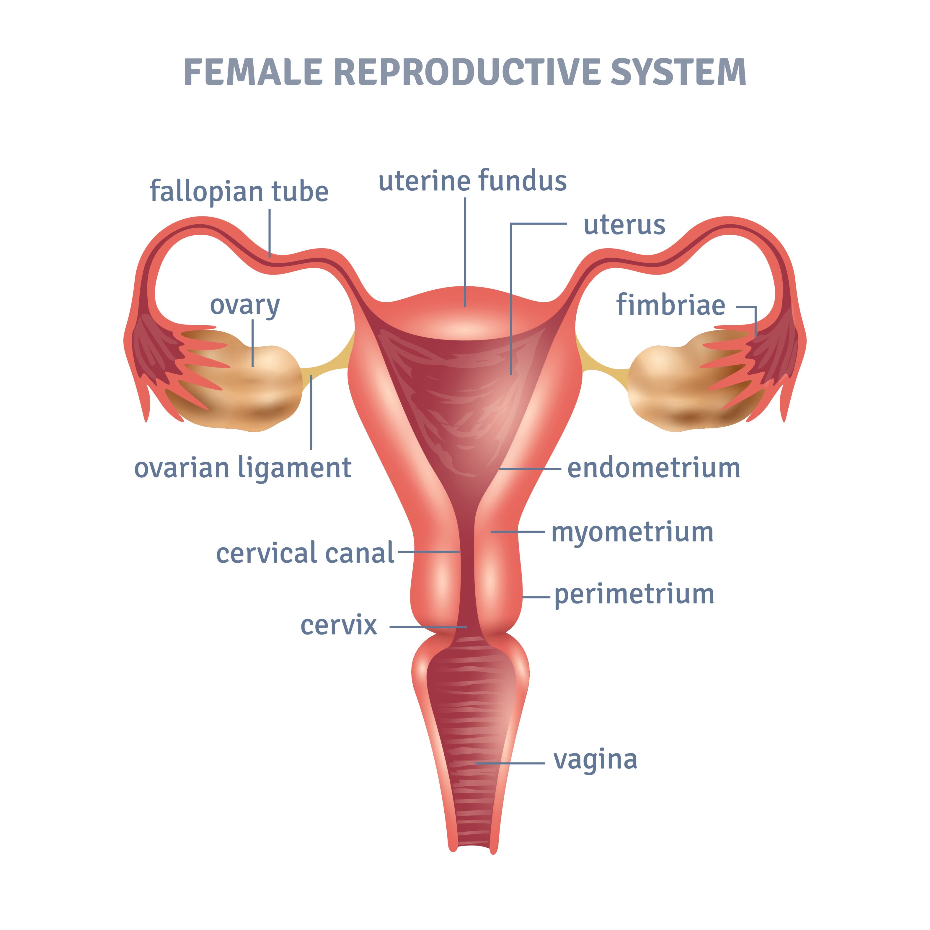 Best doctor for uterine fibroid treatment in hyderabad 
