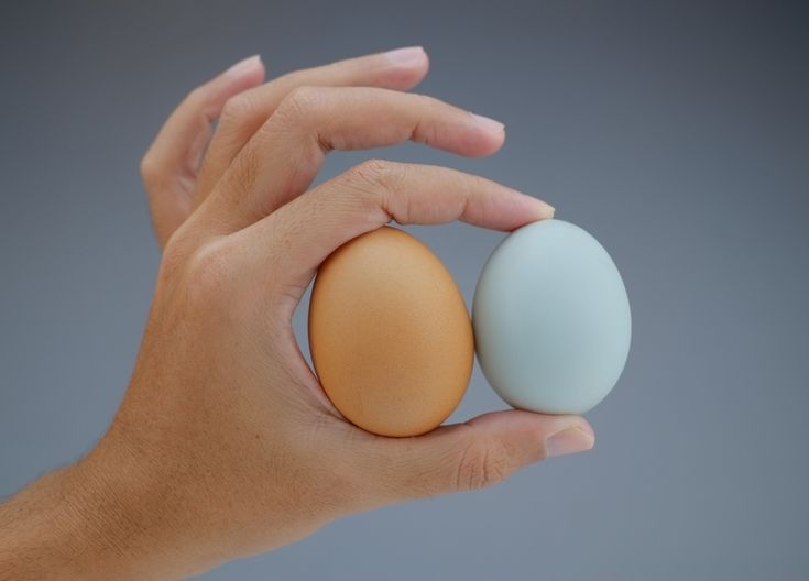 Varicocele management for male infertility