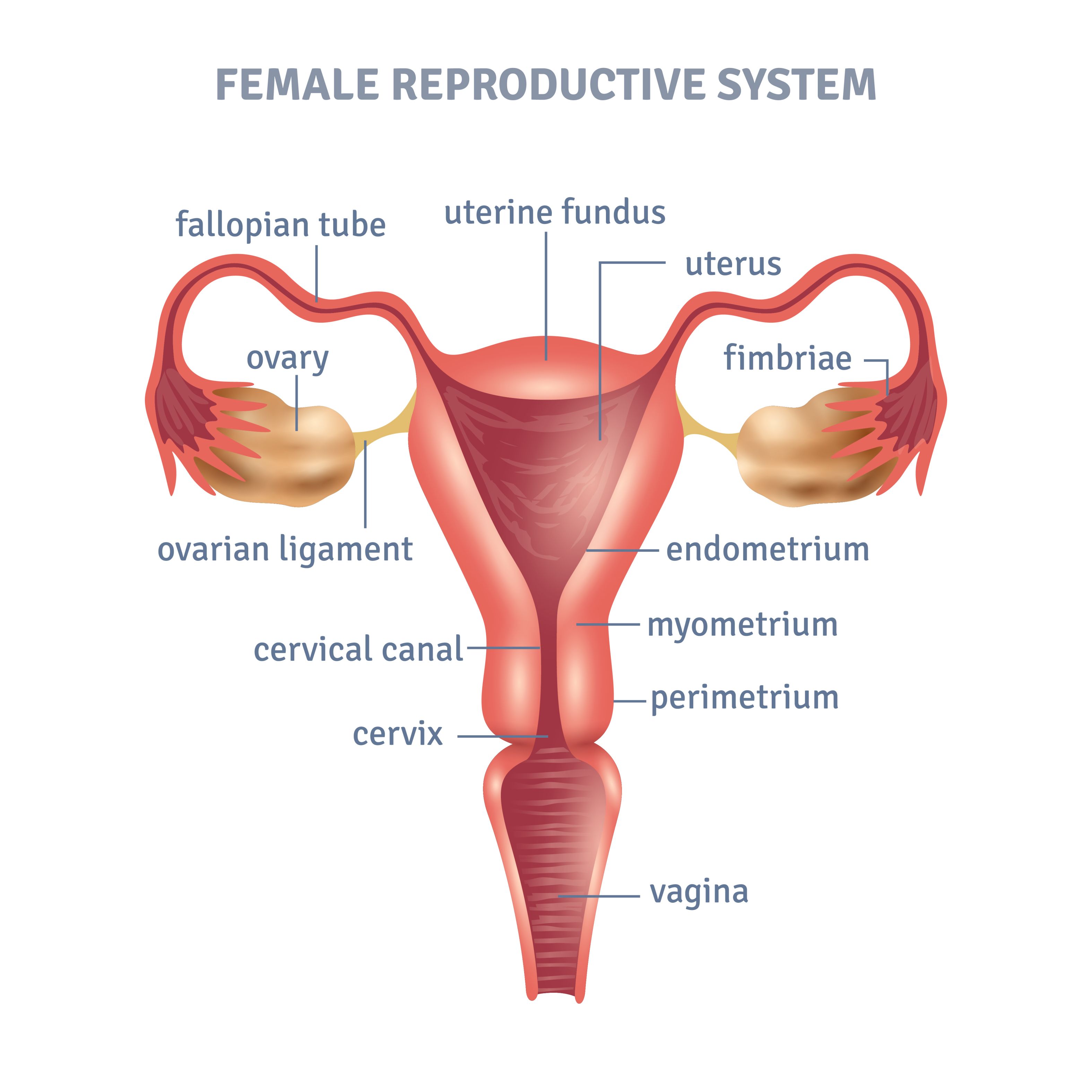 Best doctor for uterine fibroid treatment in hyderabad