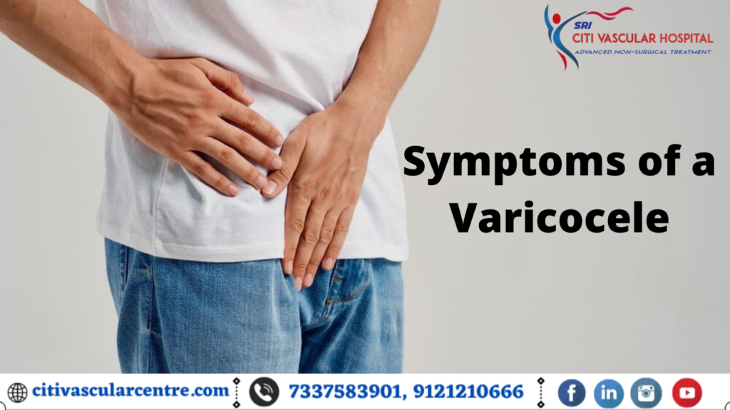 Symptoms of a Varicocele