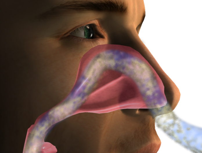 best hospital for sinus surgery in hyderabad